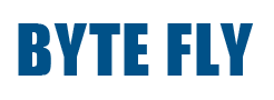Byte Fly Technology Company Limited